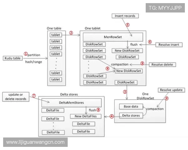 深入解析菲律宾欧博代理商管理系统的核心功能与操作流程指南